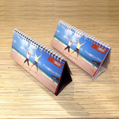 Настольный перекидной 20х10 14стр