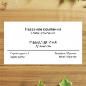 Визитки цифровая печать 120шт Односторонние 4+0