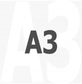 A3 - 297X420