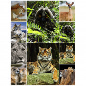 Фотоколлаж 30X40 вертикальный