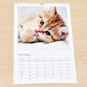 Перекидной A4 13-страничный Полиграфия